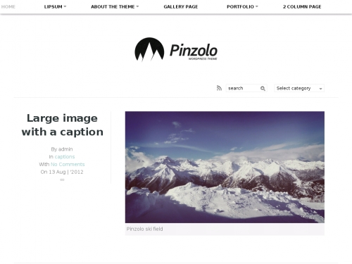 WordPress無料テーマ:Pinzolo