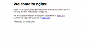 Nginxデフォルトページ